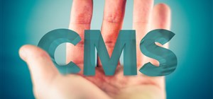 Website Design - Choosing the Right CMS for your Business